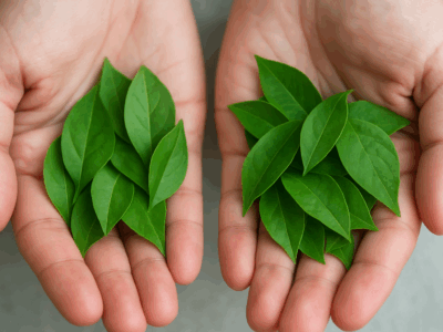 Emotional & Mental Health